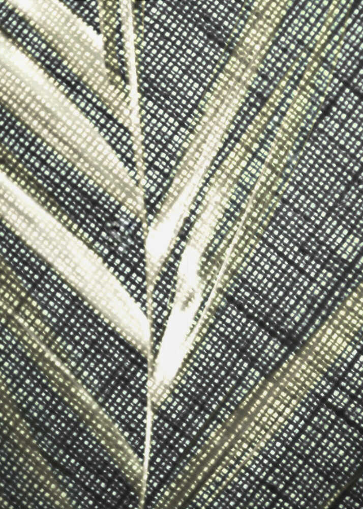 Leuchtender Blätterteppich | Leinwand