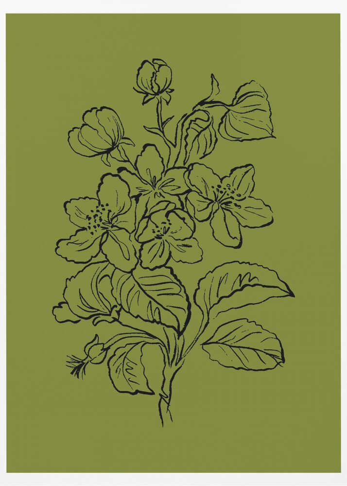 Élégance botanique | Affiche