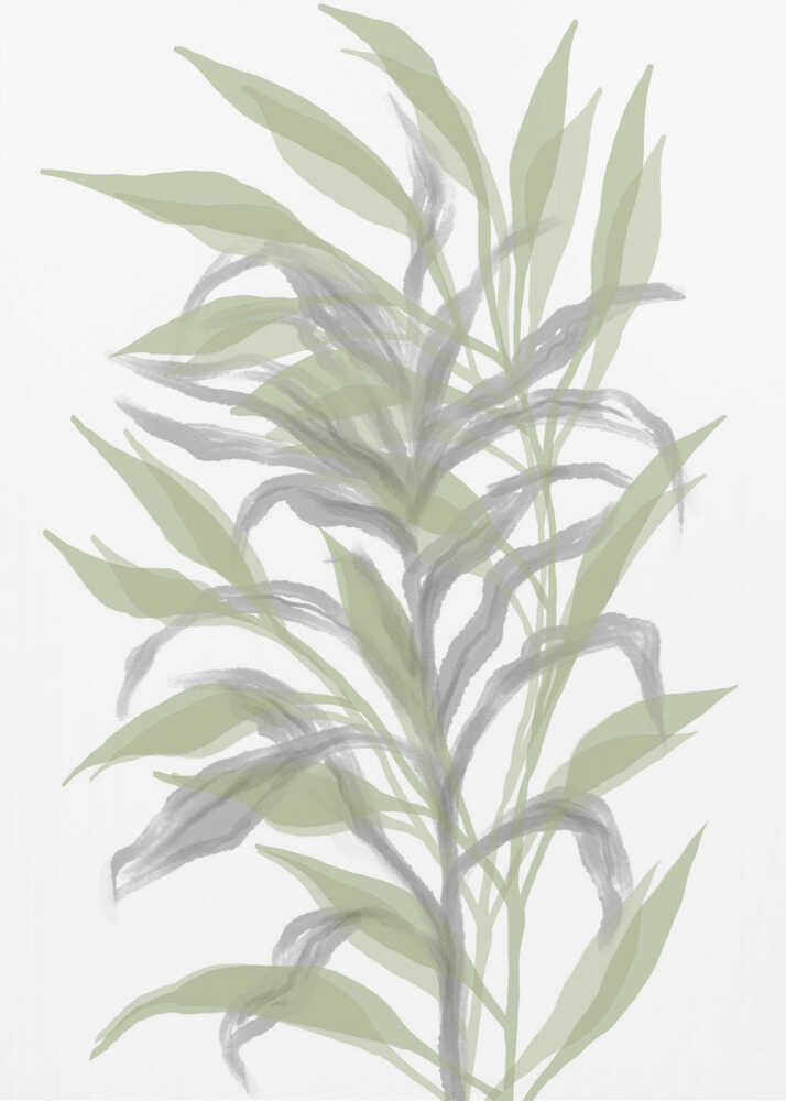 Feuille de bambou silencieuse | Toile