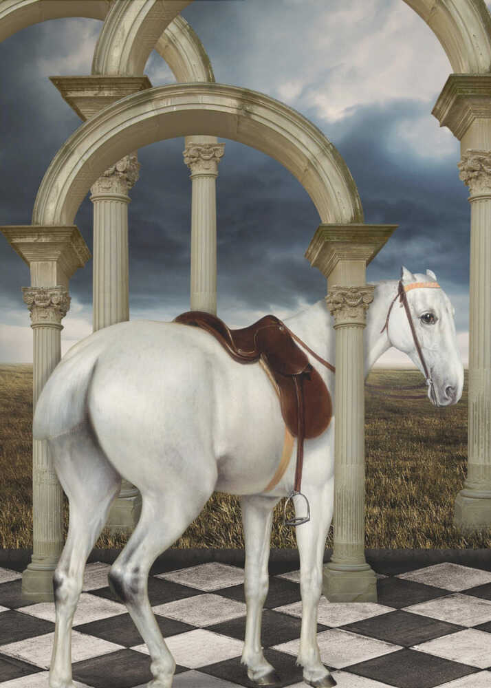 Graue Jägerin | Poster