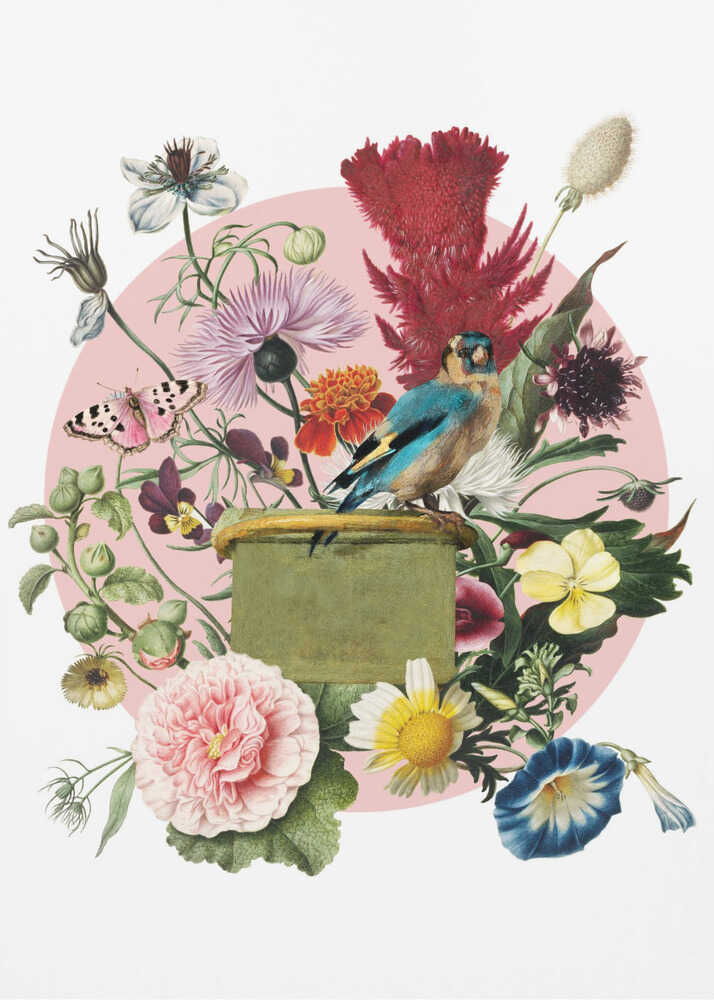 Colorful Bird Perched On A Box | Poster