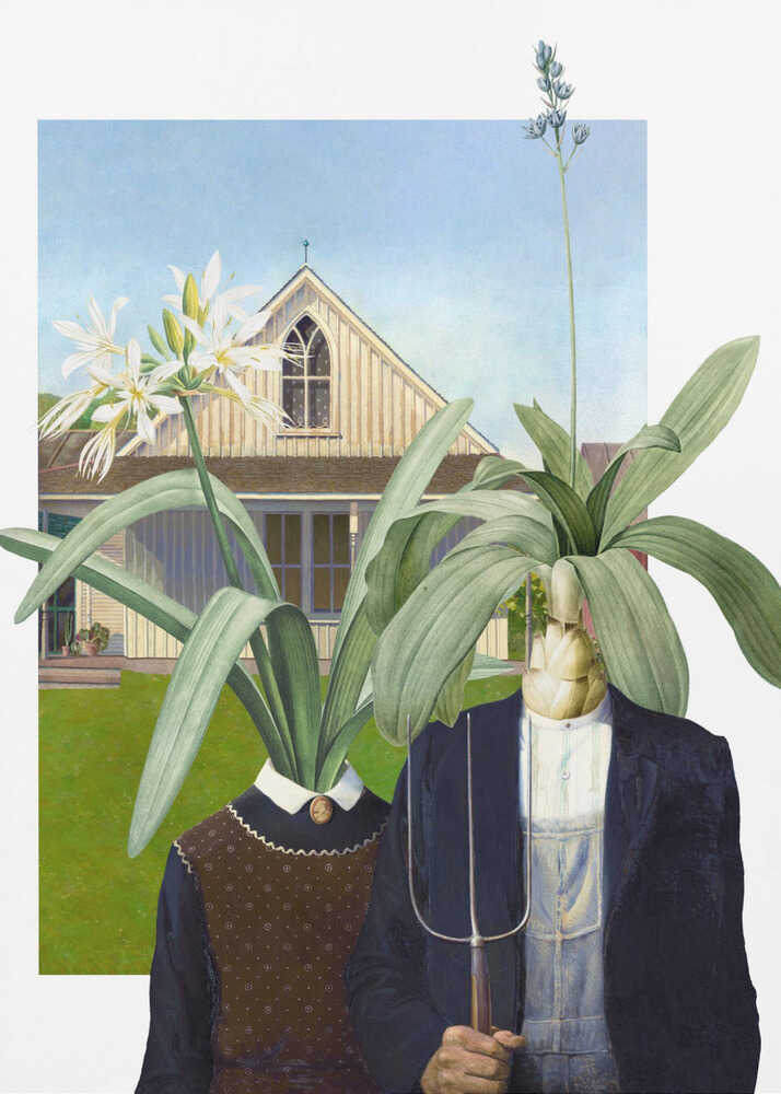 Amerikanische Botanik | Poster