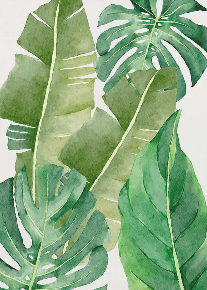 Harmonie des feuilles luxuriantes | Toile