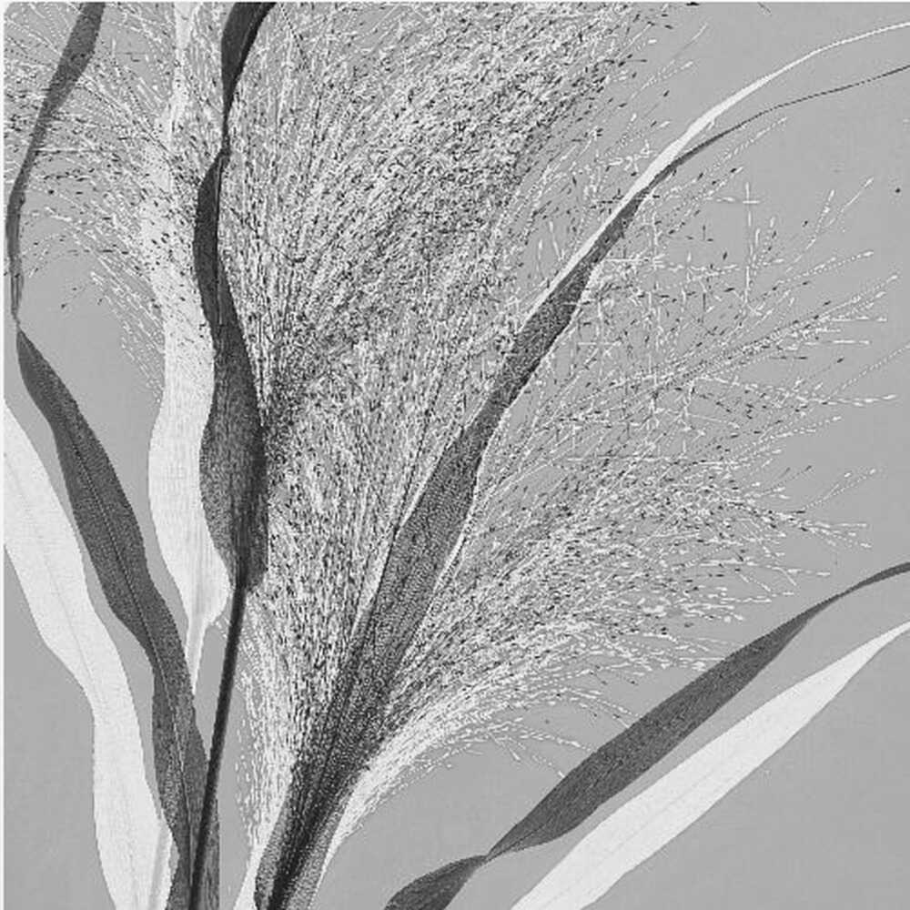 Simply grass | Canvas