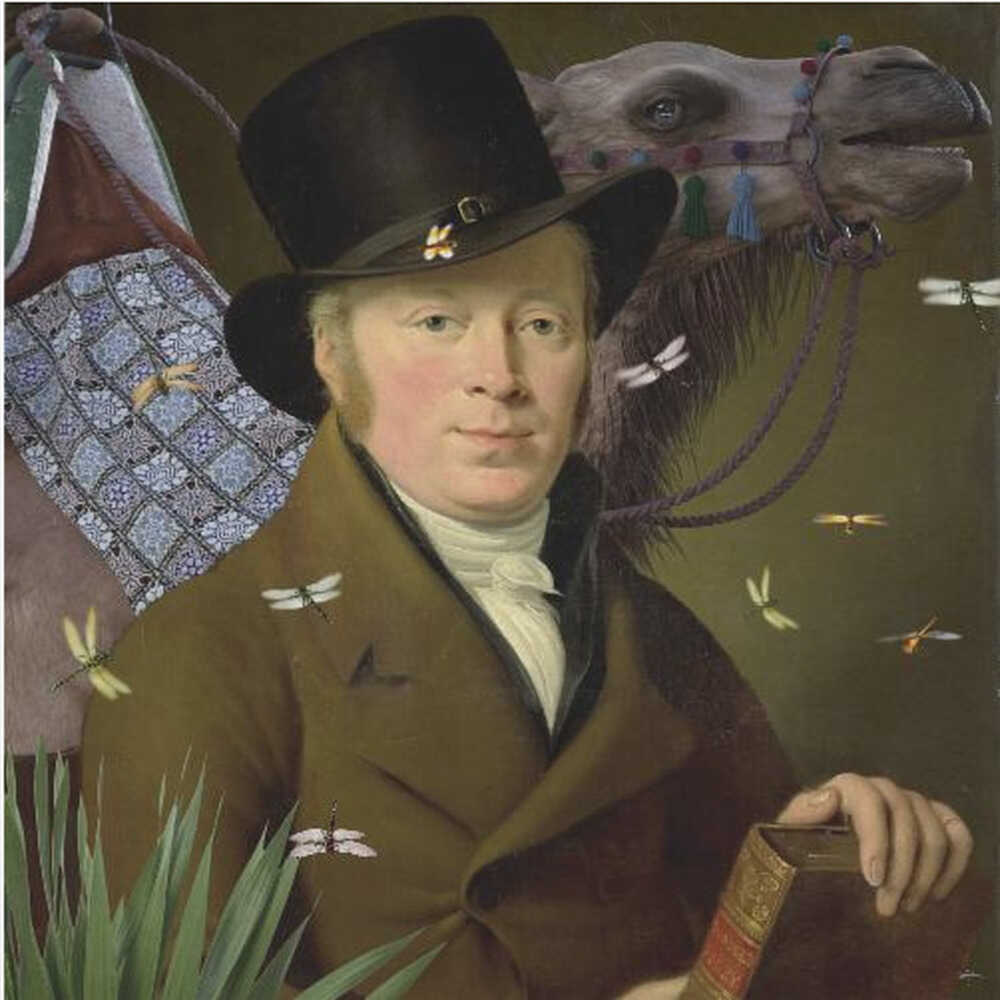 Verloren mit meinem Kamel | Poster