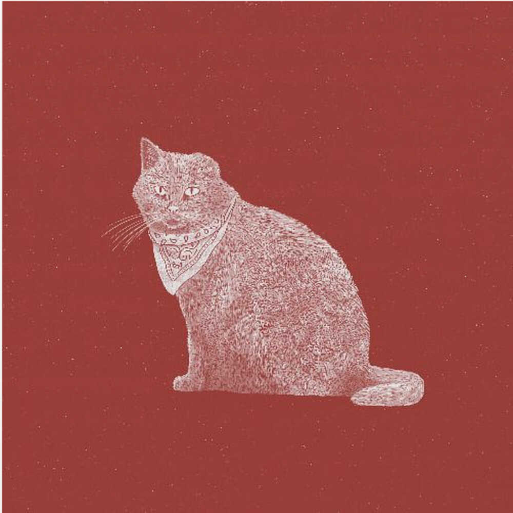 Coole Banditenkatze | Poster