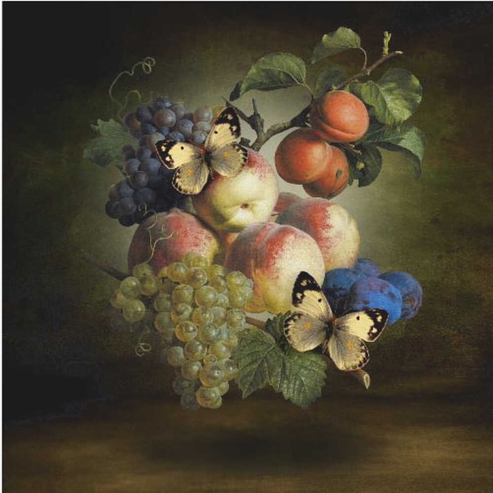 Farbenfrohe Früchte mit Schmetterlingen | Poster